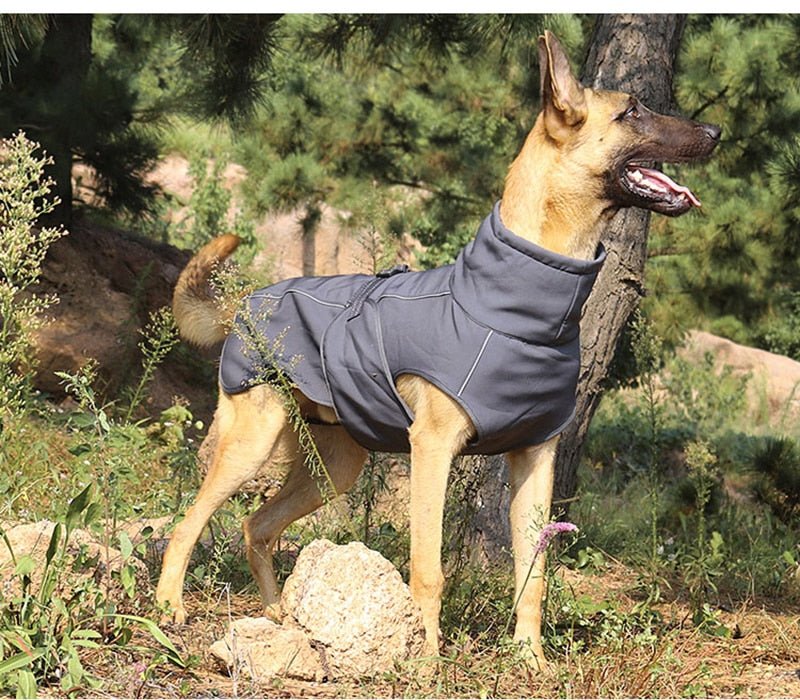 Pet Clothes Jacket For Dogs